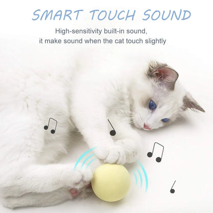 Smart interactive cat ball