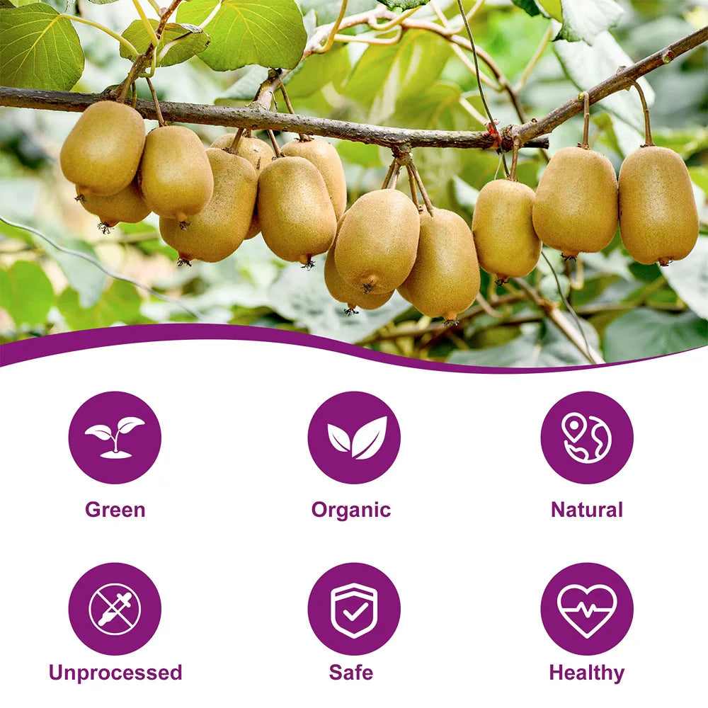 Sticks for Cats Natural "siwak" for cats