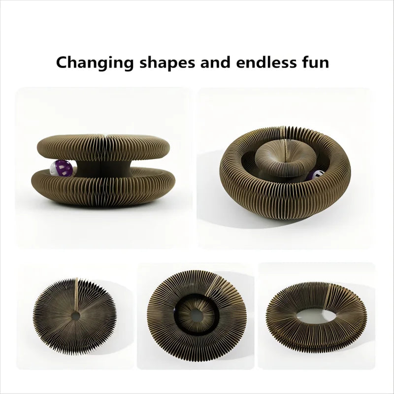 Scratch Clean, Live Green